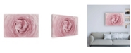 Trademark Global PhotoINC Studio Large Pink Rose Canvas Art - 36.5" x 48"